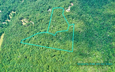 Lt33-34 Lt 33-34 Dogpatch Ln, Blue Ridge, GA 30513 - photo 5