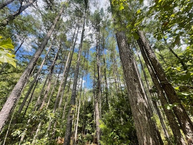 00 Carver Point Rd, Coffeeville, MS 38922 - photo 4