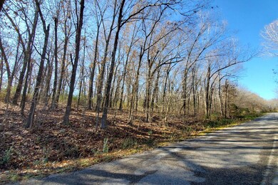 Land for Sale in Thayer, MO5