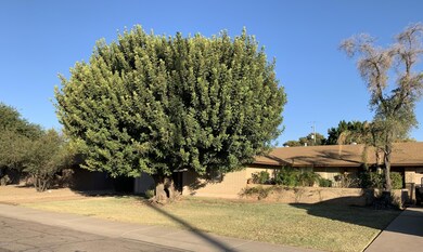 3102 W Paradise Drive