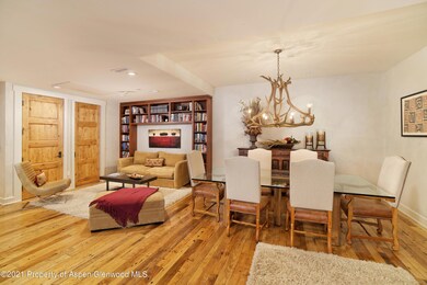 101 N Spring St unit 102, Aspen, CO 81611 - photo 4