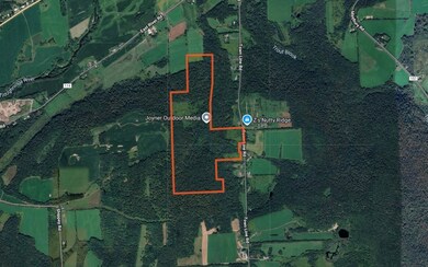 Town Line Rd, McGraw, NY 13101 - photo 5