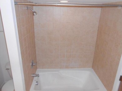 Master Bathroom Bathtub