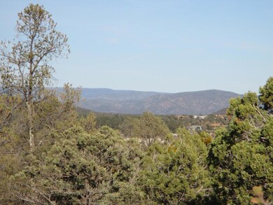 Photo 07