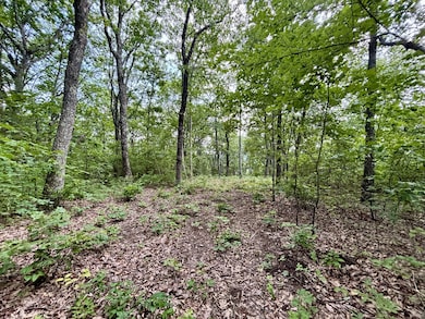 0 Harrison Ferry Rd unit RTC2813087, McMinnville, TN 37110 - photo 7