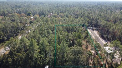 4150 Melanie St, Hastings, FL 32145 - photo 4