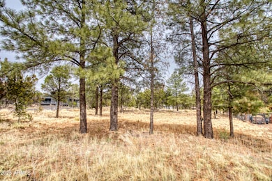 3325 OX BOW BEND