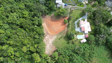 CARR 677 K1 H5 LOTE Bo Espinosa Comm La Pra, Dorado, PR 00646 - photo 5