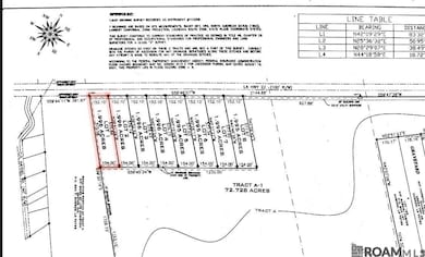Lot #1 Louisiana 22, Darrow, LA 70725 - photo 2