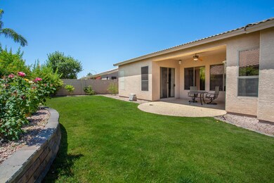 Large Backyard