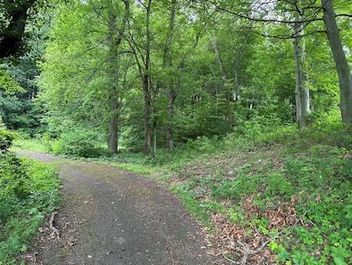 28226 Hillman Hwy, Meadowview, VA 24361 - photo 4