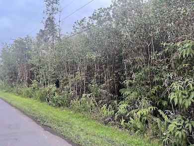 11-3246 Palainui St, Mountain View, HI 96771 - photo 3