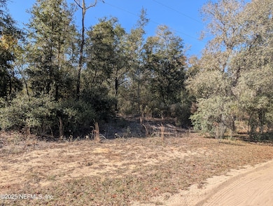 0070-0330 California Ave, Interlachen, FL 32148 - photo 5