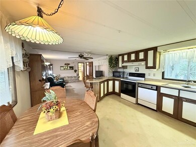 331 E Windmill Palm St unit 8, Alamo, TX 78516 - photo 5