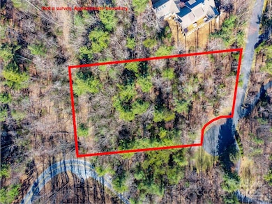 000 Didrikson Way unit 244, Hendersonville, NC 28739 - photo 3