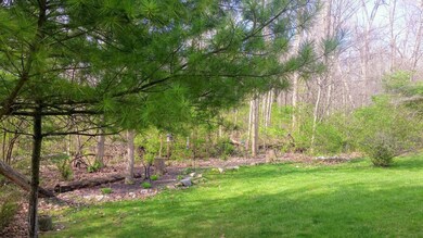 Wooded Lot