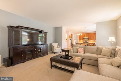 7823 Gregamin Ct, Ellicott City, MD 21043 - photo 7