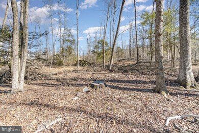 0 Summit Rd, McClure, PA 17841 - photo 7