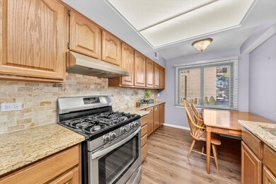 4530 W 93rd St unit 1A, Oak Lawn, IL 60453 - photo 5