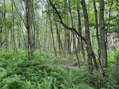 0 Kimball Camp Rd unit S1622094, Orwell, NY 13426 - photo 2