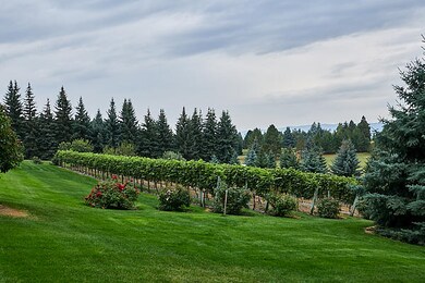 One Acre Vineyard