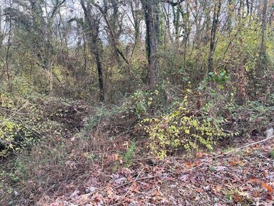 0 Slayton Ave unit 1504633, Chattanooga, TN 37410 - photo 3