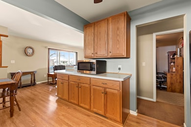 483 Park Ave, Lincoln Park, MI 48146 - photo 5