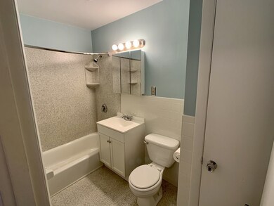 29 Custer St unit 303, Jamaica Plain, MA 02130 - photo 7