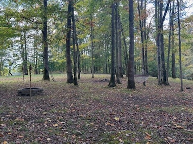 192 Jamaica Ln unit 192, Calvin, WV 26660 - photo 4