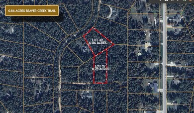 0 Beaver Creek Trail unit 25734139, South Branch Township, MI 48653 - photo 2