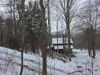 613 Sibley Gulf Rd, Cooperstown, NY 13326 - photo 5