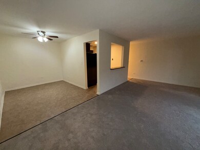 110 N Kenilworth Ave unit 1C, Oak Park, IL 60301 - photo 7