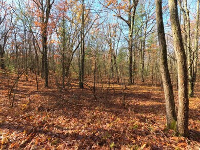 V/L Woodland Park Lots 5 To 9, Bitely, MI 49309 - photo 2