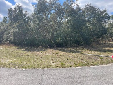 Corner Lot view