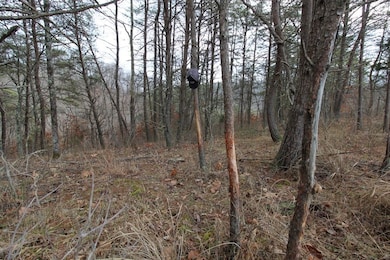 2559 Cr 16, Pedro, OH 45659 - photo 5