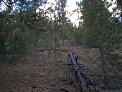 0 Center St unit 12580193, Granite, OR 97877 - photo 3