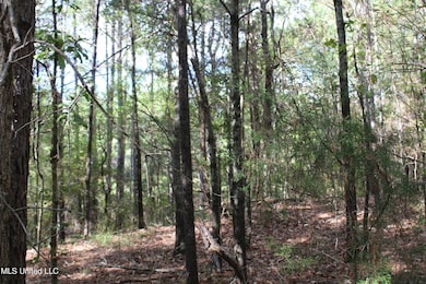 4 Byhalia Rd, Byhalia, MS 38611 - photo 6