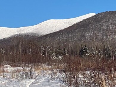 0 Lost Nation Rd unit 4754407, Groveton, NH 03582 - photo 4