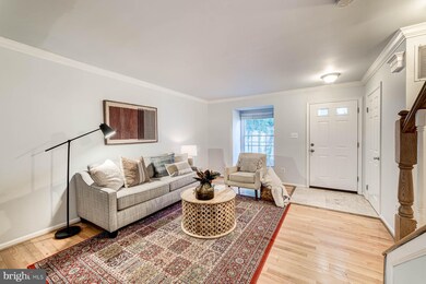 5043 9th St S, Arlington, VA 22204 - photo 4