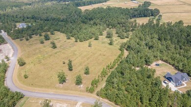 0 Cooks Pond Rd unit 219408, Windsor, SC 29856 - photo 6