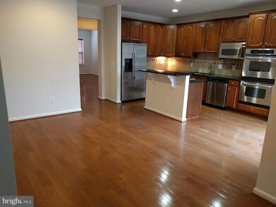 42031 Bushclover Terrace, Stone Ridge, VA 20105 - photo 7