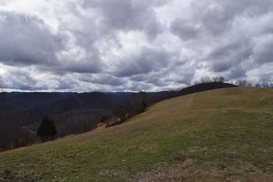 0 Big Springs Rd unit 19372195, Eidson, TN 37731 - photo 6