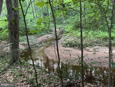 3515 B Clayton Rd, Joppatowne, MD 21085 - photo 5