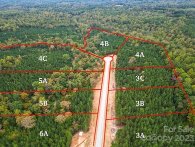 4A Hidden Forest Dr unit 4A, Denver, NC 28037 - photo 2