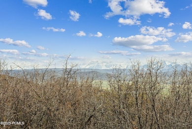 1081 Splendor Valley Rd unit 56, Kamas, UT 84036 - photo 2