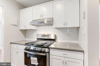 3814 Lyndhurst Dr unit 301, Fairfax, VA 22031 - photo 4