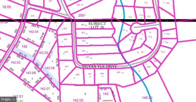 0 Sylvan Vue Dr unit 1001024948, Dagsboro, DE 19939 - photo 4