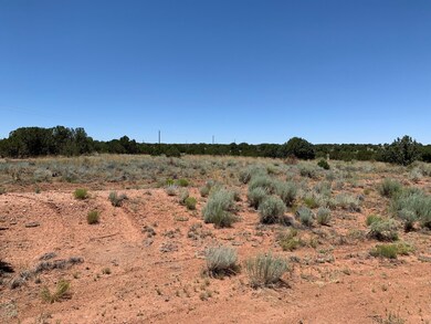 IMG_2358