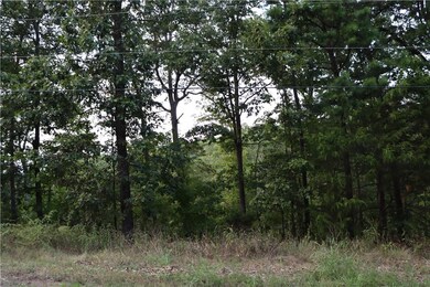 7 Bassingham Ln, Bella Vista, AR 72715 - photo 2