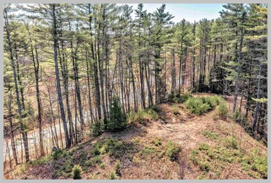 Lot #3 River Rd, Bridgewater, NH 03222 - photo 6